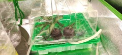 IMG_20220606_170907