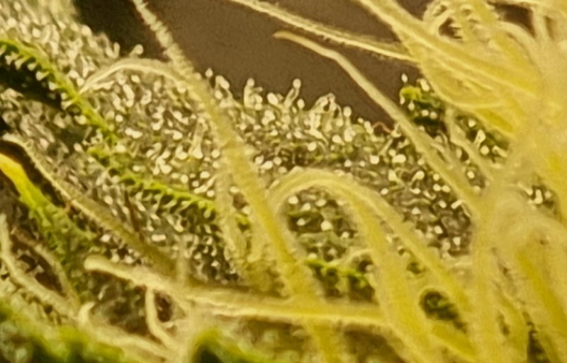 20220606_223456