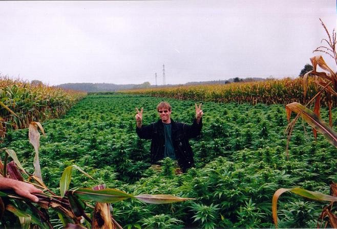 kc-in-the-field