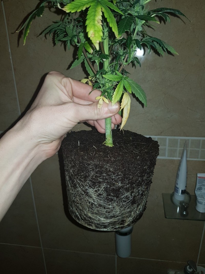 20190216_225020