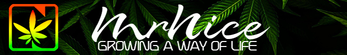 mn canna bk banner v1