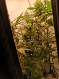 IMG_20220613_054945