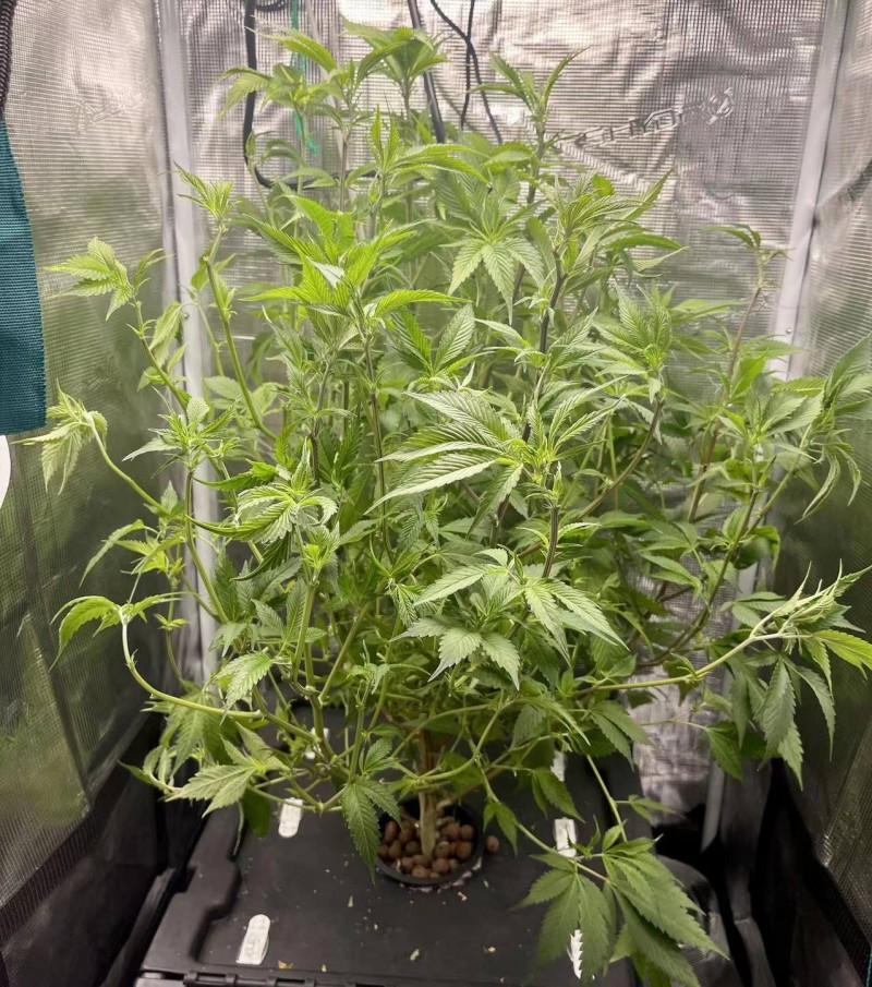 hydro mommy after