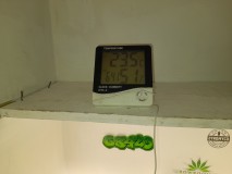 20220621_183156