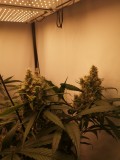 IMG_20220622_114126