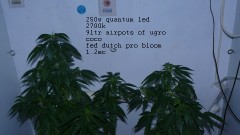 drobes 23 06 22 003
