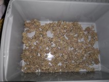 IMG_20220624_130401