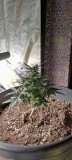 IMG_20220625_092613