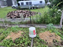 IMG_4668[1]