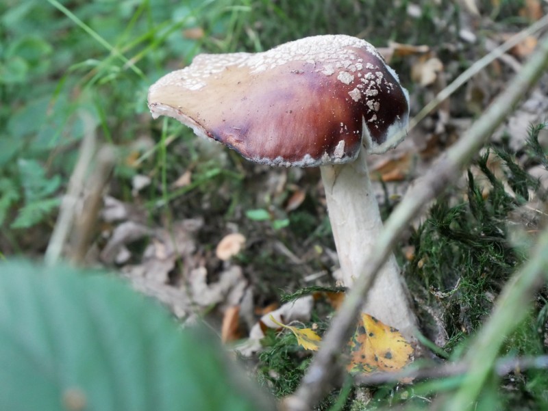 P1010436