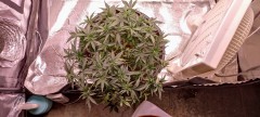 IMG_20220702_100915