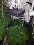 IMG-20170517-WA0001
