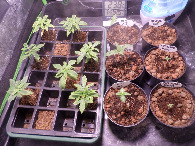 wk3