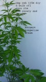 drobes 070722 007