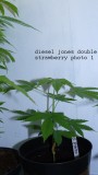 drobes 070722 011