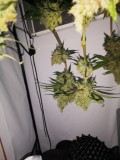 IMG_20220709_204252