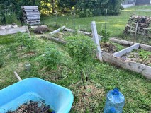 IMG_4768[1]
