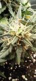 IMG_20220720_103136