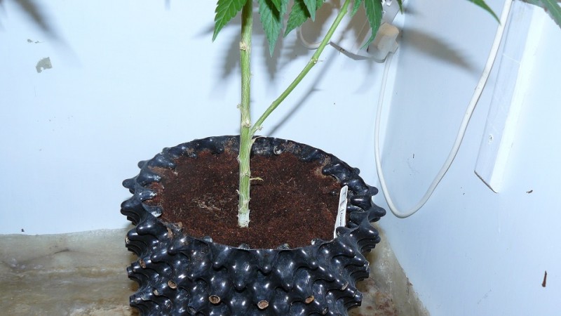 drobes 20 7 22 026