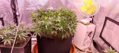 IMG_20220723_091606