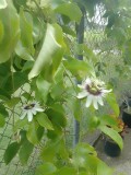 IMG_20220722_165028