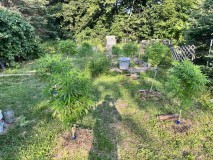 IMG_4801[1]