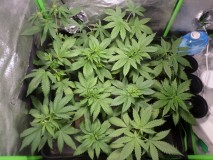 week6