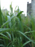 IMG_20220727_183224