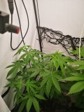 IMG_20220728_064122