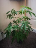 IMG_20220801_195143