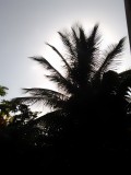 IMG_20220802_075825