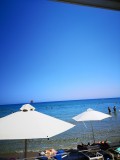 IMG_20220803_121921