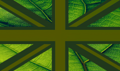 union-jack olive wiv leaf 2