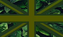 union-jack olive wiv leaf 3