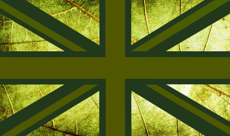 union-jack olive wiv leaf 4