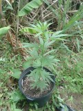 IMG_20220803_100259