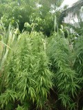 IMG_20220803_100056