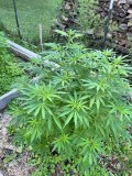 IMG_4905[1]