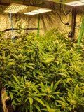 week 3
