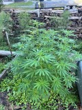 IMG_4945[1]