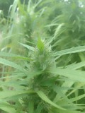 IMG_20220813_161721