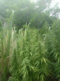 IMG_20220813_161631