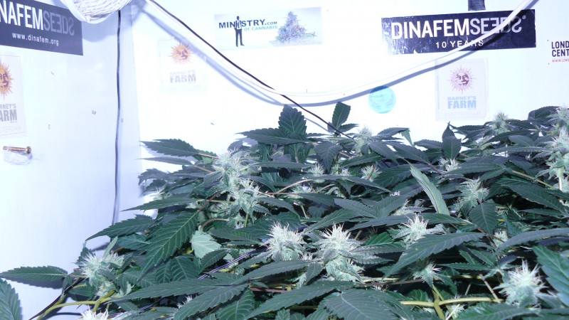 drobes 17 08 22 003