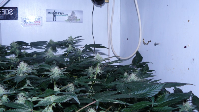 drobes 17 08 22 005