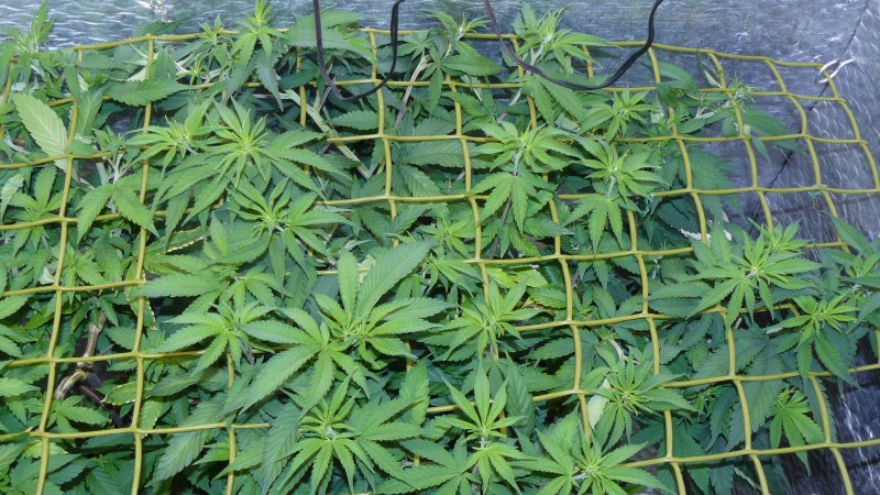 drobes 17 08 22 019