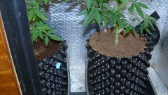 drobes 17 08 22 022