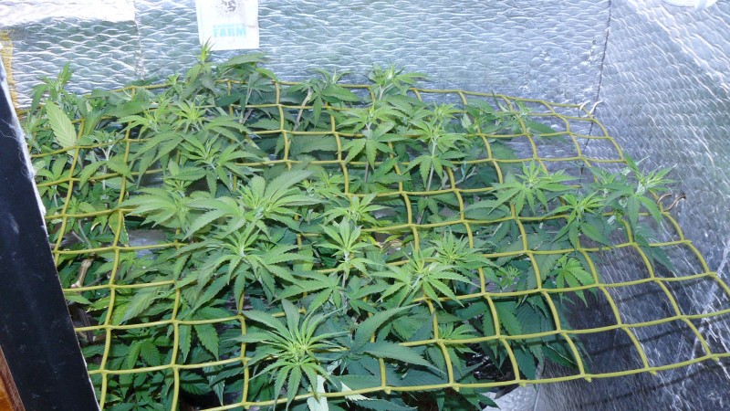 drobes 17 08 22 025