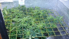 drobes 17 08 22 025