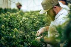 ColoradoBreedersDepot_Photos_OnLocation103-600x400