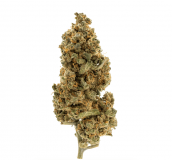 Colorado-Kush-1-1
